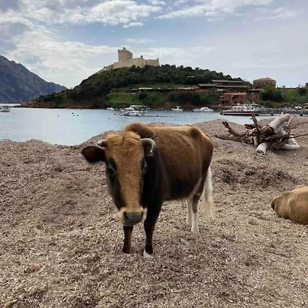Vignarella Meublé De Tourisme Classé 5 étoiles Avec Terrasse *
