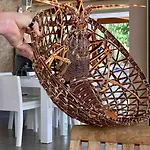 Vignarella Meuble De Tourisme Classe 5 Etoiles Avec Terrasse *