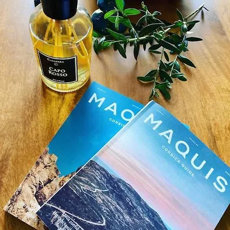 Vignarella Meuble De Tourisme Classe 5 Etoiles Avec Terrasse Piana (Corsica)