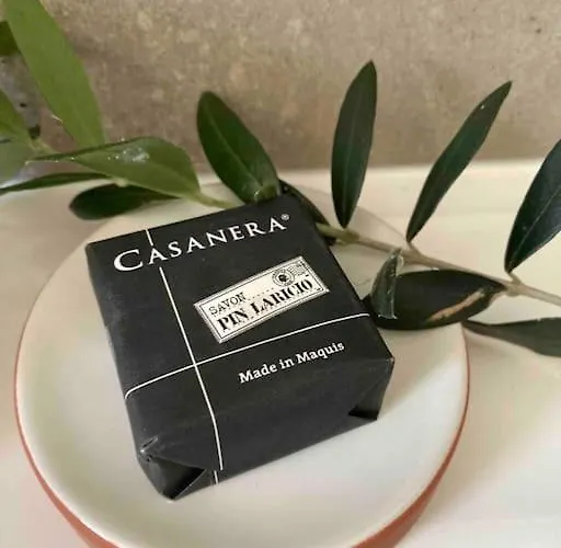 Vignarella Meuble De Tourisme Classe 5 Etoiles Avec Terrasse Piana (Corsica)