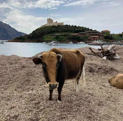 Vignarella Meuble De Tourisme Classe 5 Etoiles Avec Terrasse *