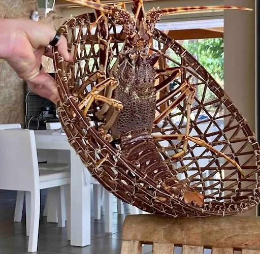 Vignarella Meuble De Tourisme Classe 5 Etoiles Avec Terrasse *