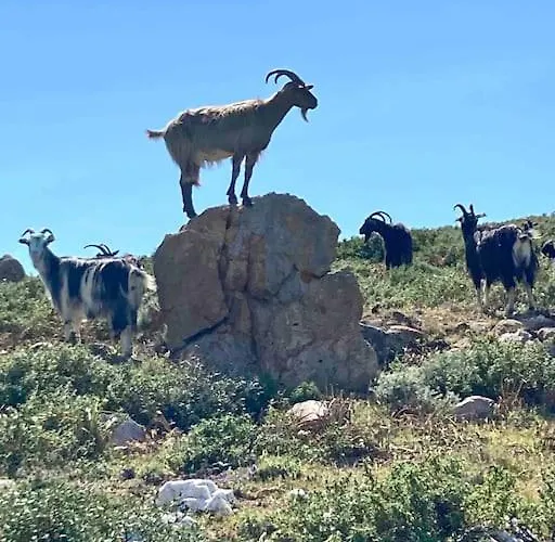 Appartement Vignarella Meuble De Tourisme Classe 5 Etoiles Avec Terrasse *
