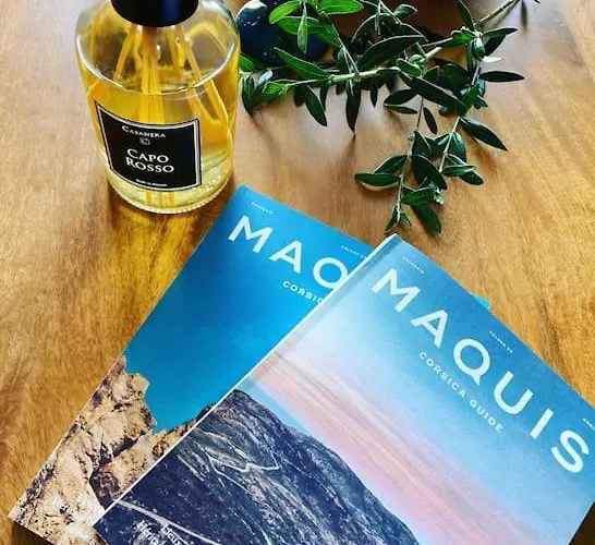 Vignarella Meuble De Tourisme Classe 5 Etoiles Avec Terrasse Piana (Corsica)